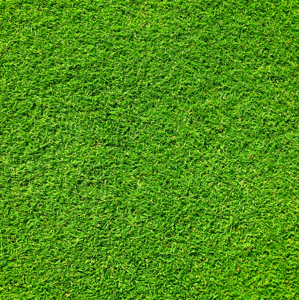 Artificial Grass Carpet