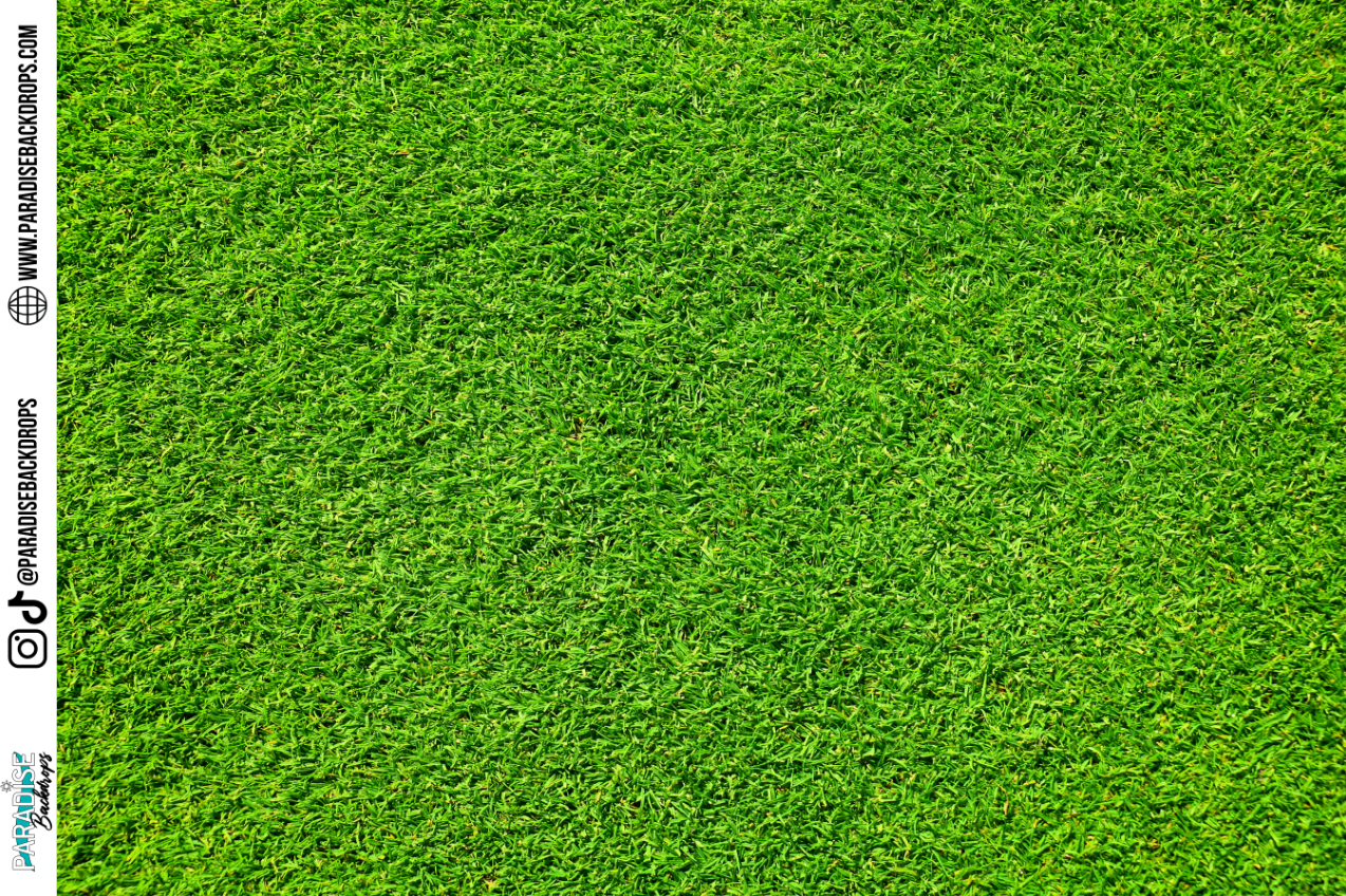 Artificial Grass Carpet XL
