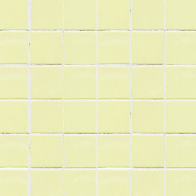 Canary
