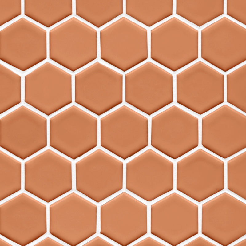 Hexagonal Salmon