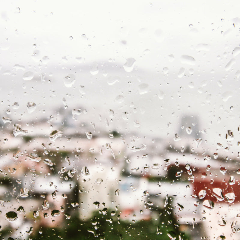 Rainy Window
